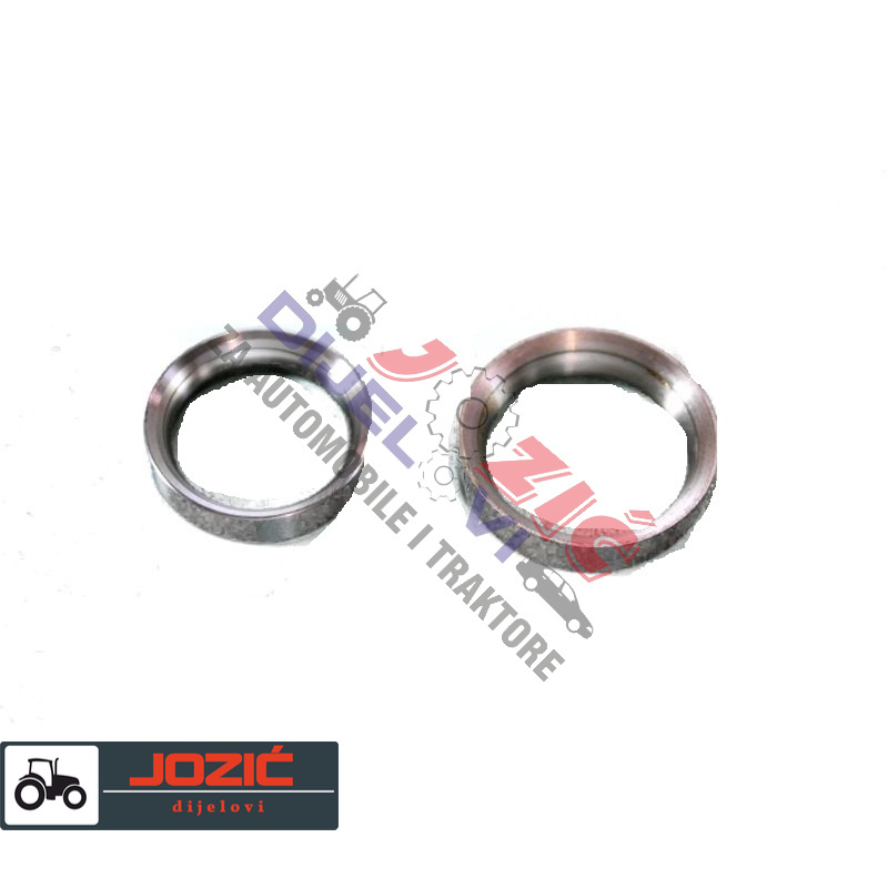 Daisy on the Ohoopee